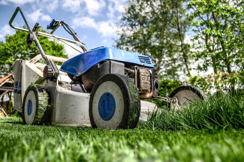 Environmentally-conscious gardening