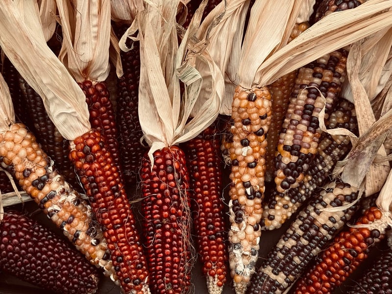 Vertical Crop Cultivation